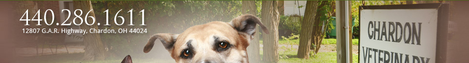 Chardon Vet - 440.286.1611